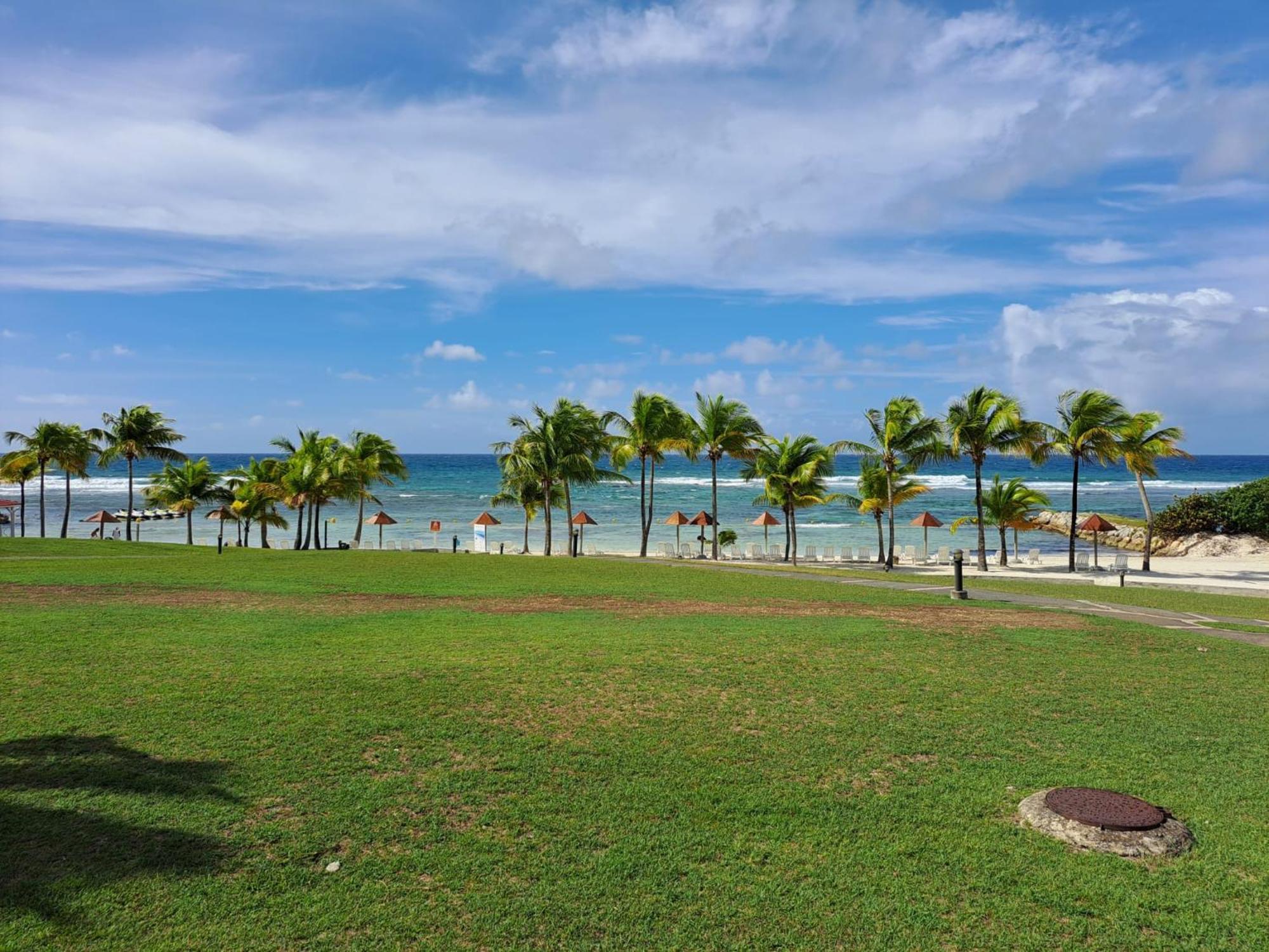 Studios Angoreva Vue Mer - Cote Plage Ou Jardin - Village Vacances - Sainte-Anne Guadeloupe Courcelles Eksteriør billede