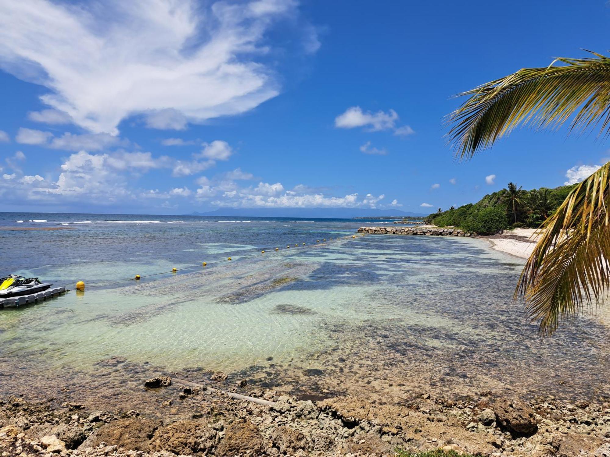 Studios Angoreva Vue Mer - Cote Plage Ou Jardin - Village Vacances - Sainte-Anne Guadeloupe Courcelles Eksteriør billede